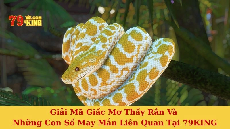 mơ thấy rắn đánh con gì